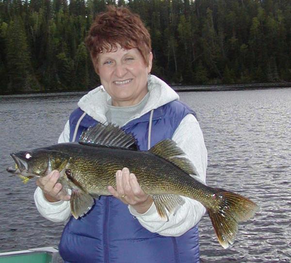 Loten Walleye Rig